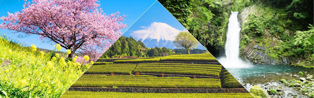 日本 Japan